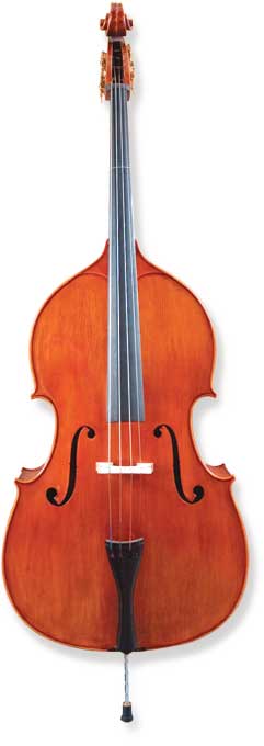 低音提琴
